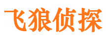 于洪外遇出轨调查取证